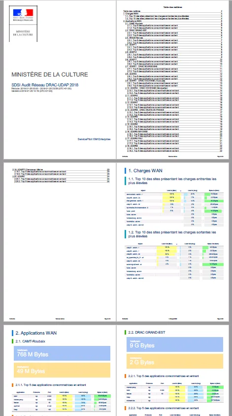 sflow network monitoring PDF report