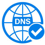 Monitor DNS