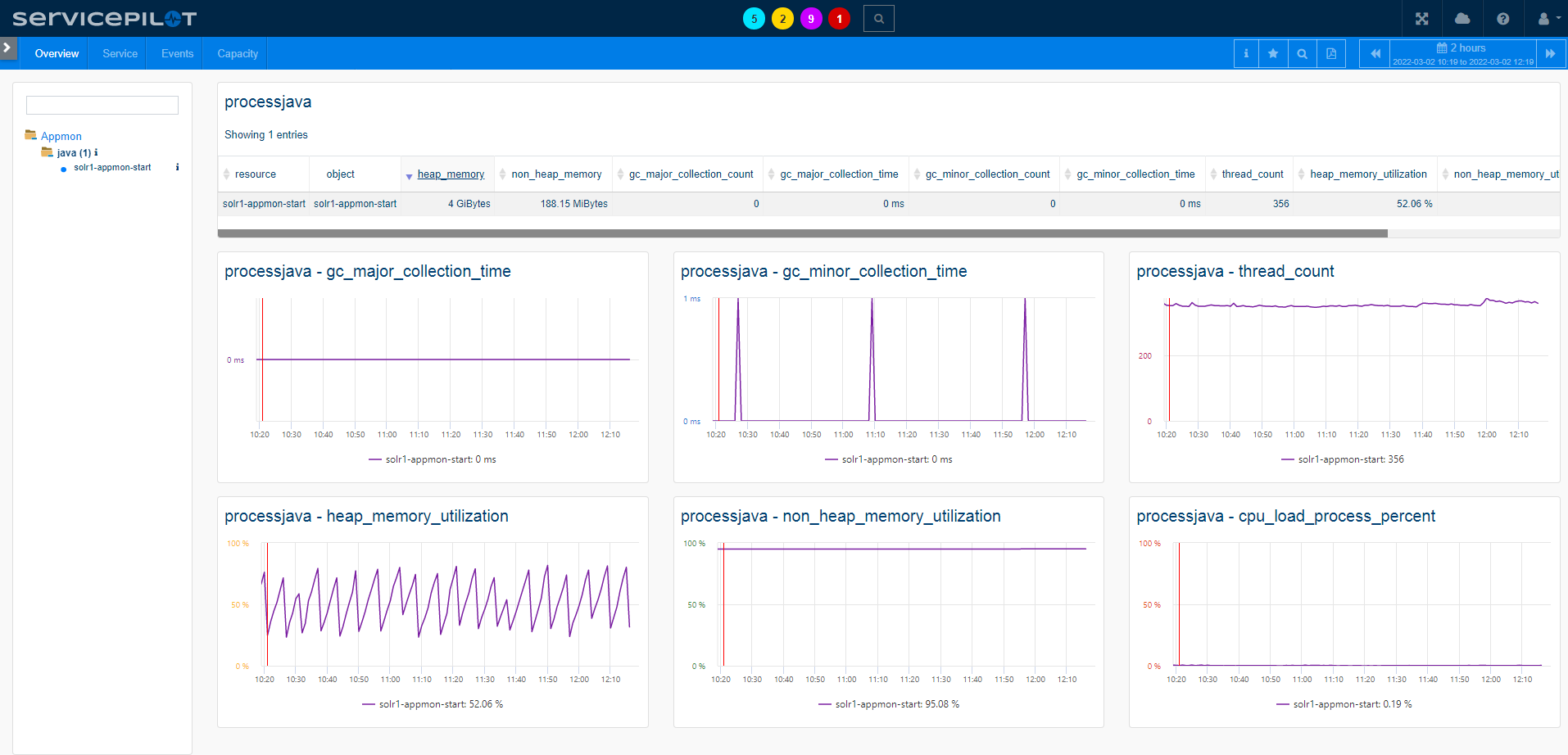Monitor JAVA with ServicePilot