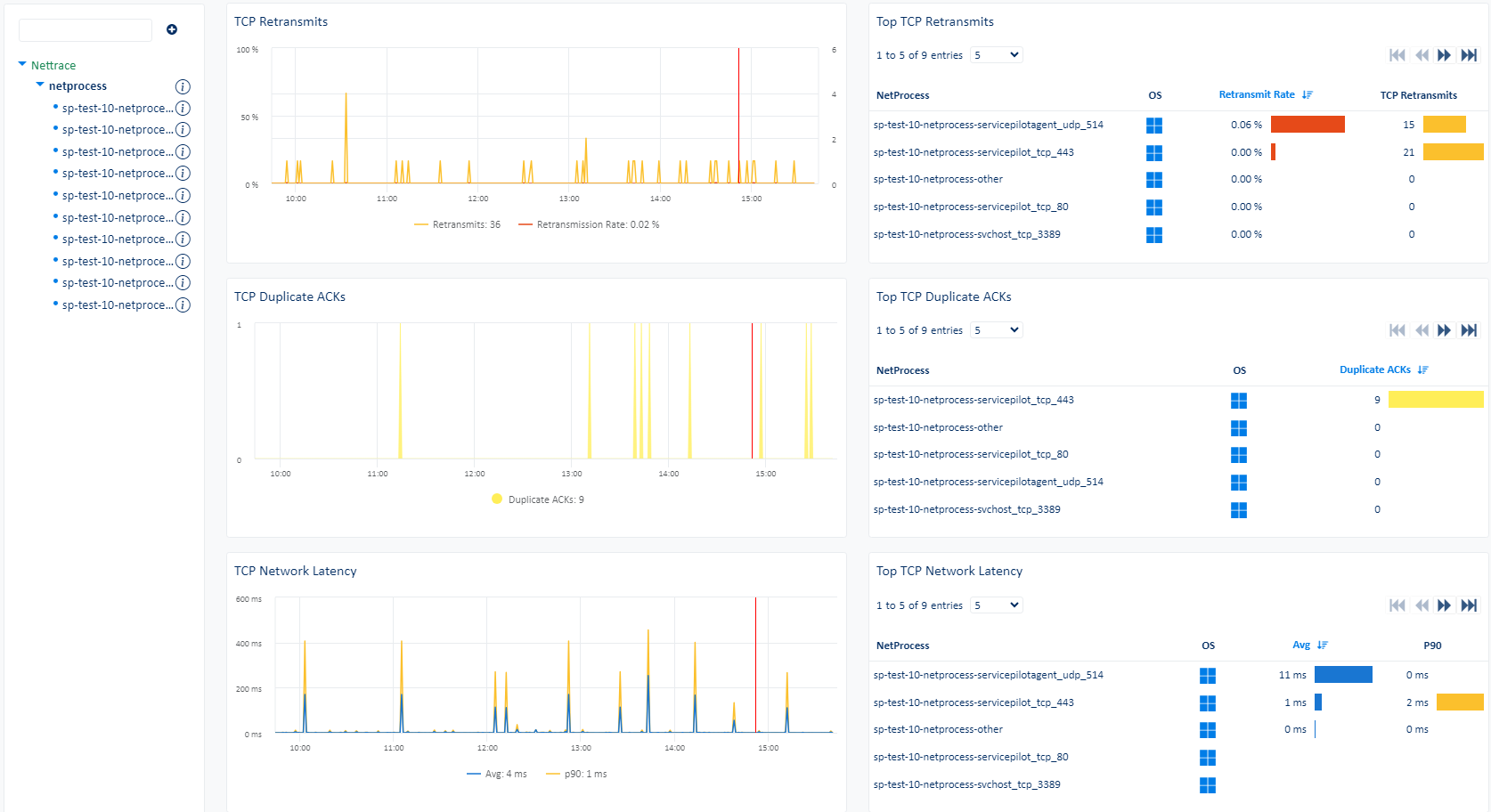 Superviser NETPROCESS (3/3)