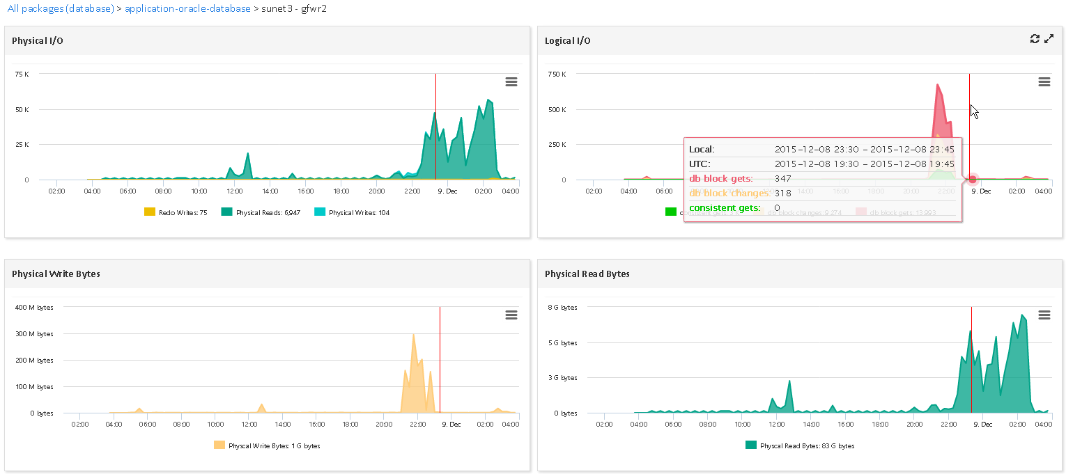 Monitor ORACLE (1/3)